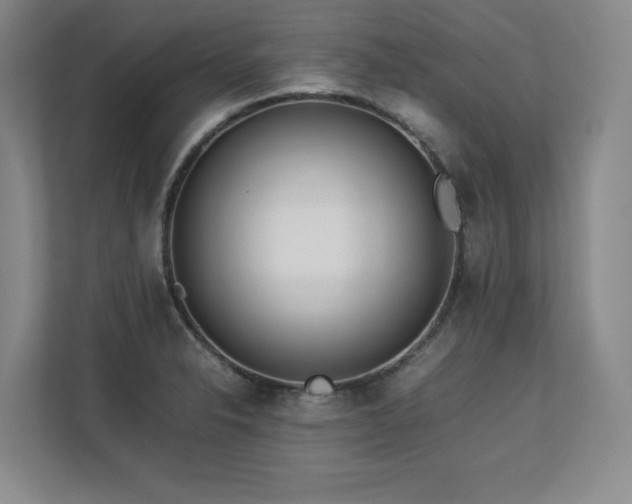 X0000112791326200908211105