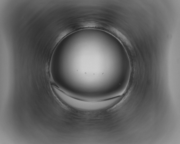 X0000112791329200908211106