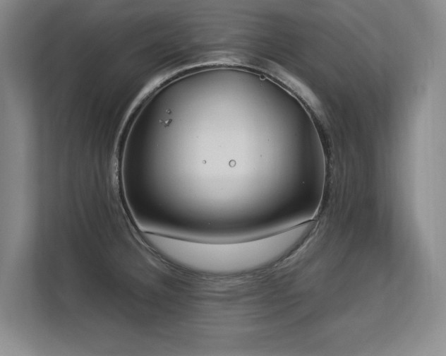 X0000112791332200908211106