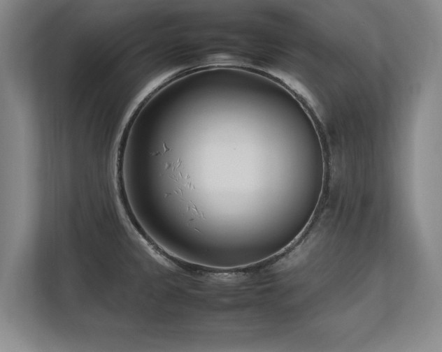 X0000112791333200908211106