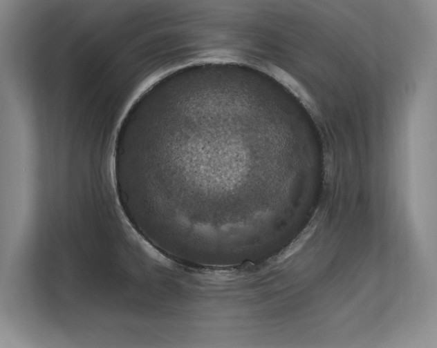 X0000112791334200908211106