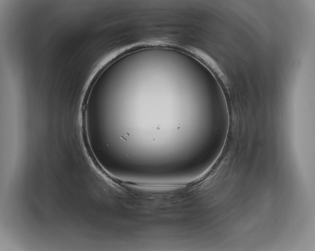 X0000112791335200908211106
