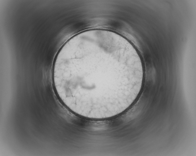 X0000112791338200908211106