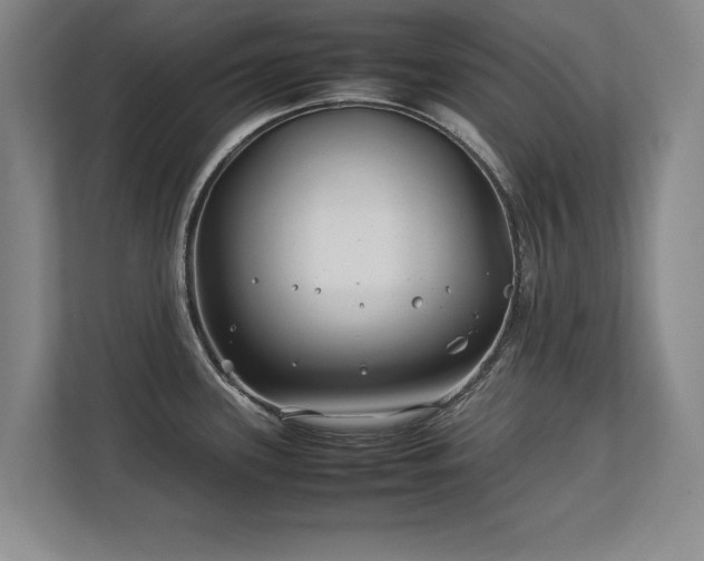 X0000112791339200908211106