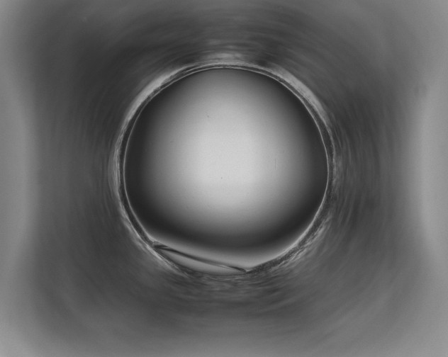 X0000112791341200908211106