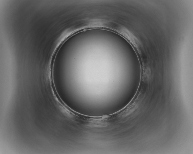X0000112791342200908211106