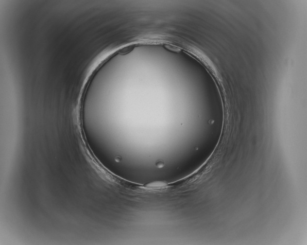 X0000112791344200908211106
