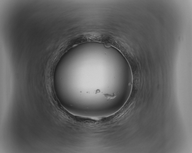 X0000112791345200908211105
