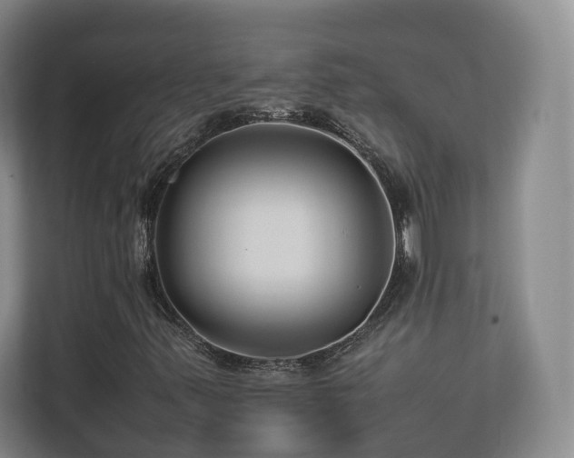 X0000112791347200908211105