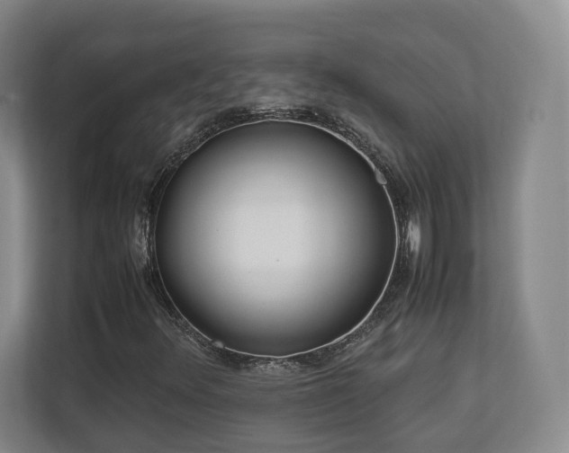 X0000112791348200908211105