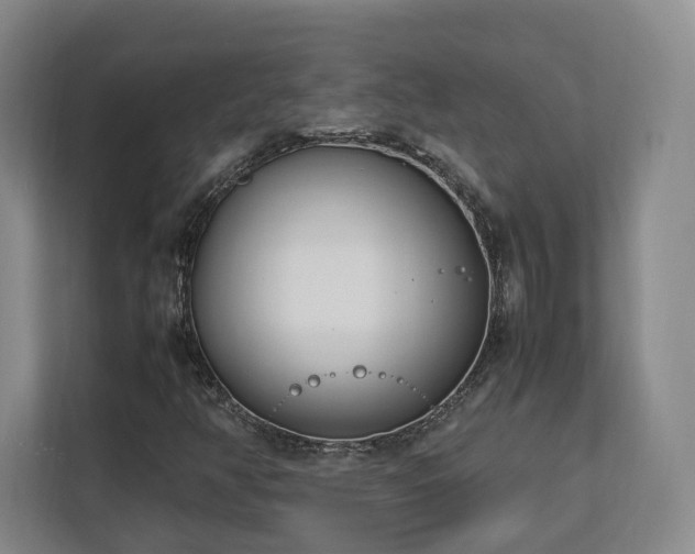 X0000112791350200908211105