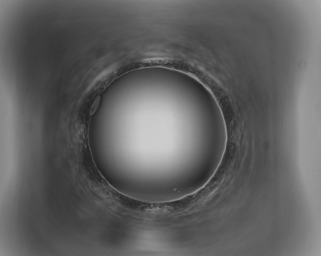 X0000112791351200908211105