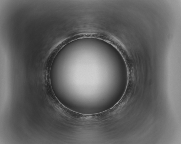 X0000112791352200908211105