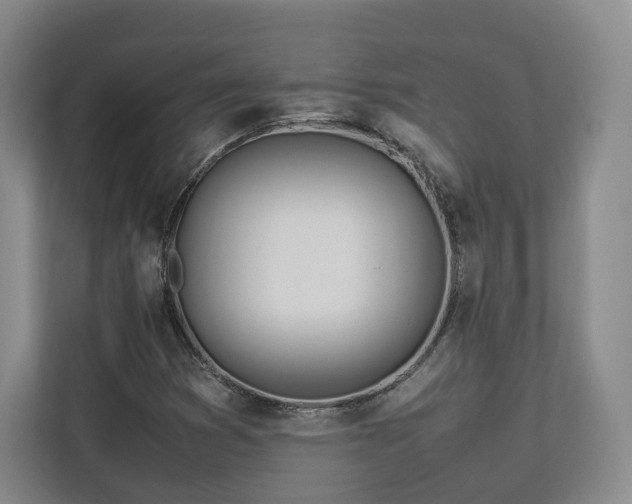 X0000112791353200908211105