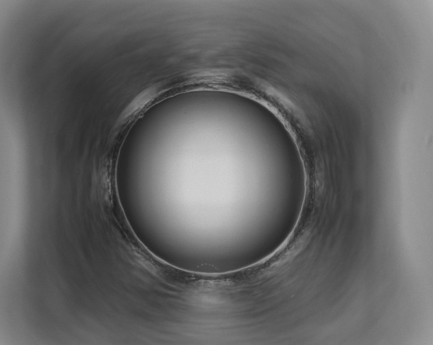 X0000112791354200908211105