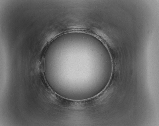 X0000112791357200908211105