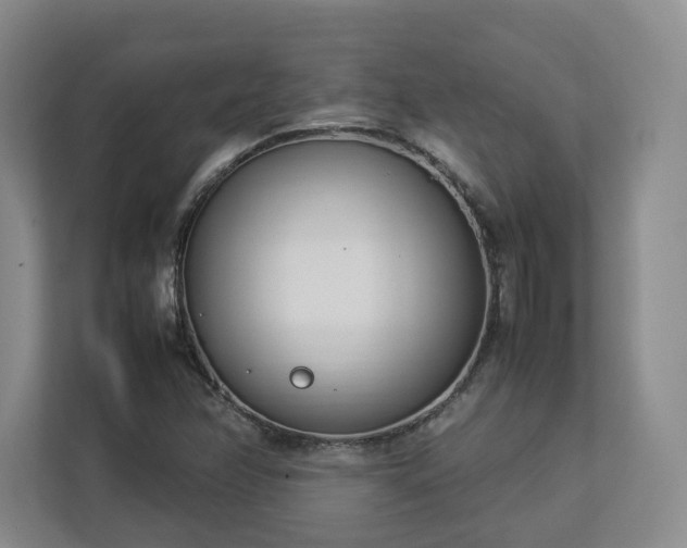 X0000112791358200908211105
