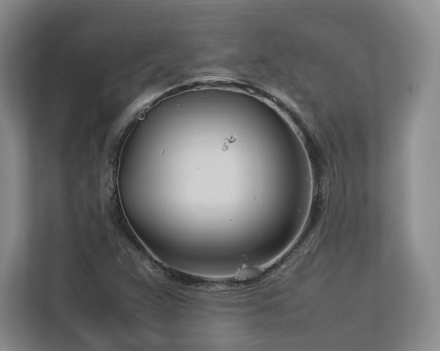 X0000112791359200908211105