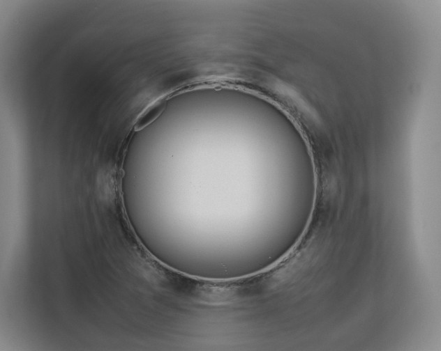 X0000112791361200908211105