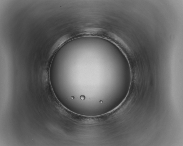 X0000112791362200908211105