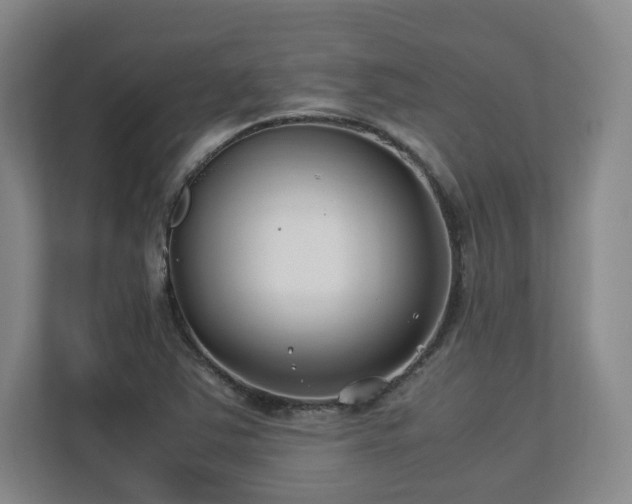 X0000112791363200908211105