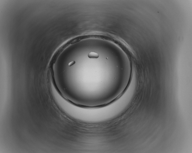 X0000112791364200908211105