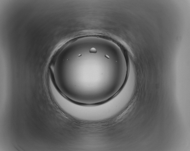X0000112791365200908211105