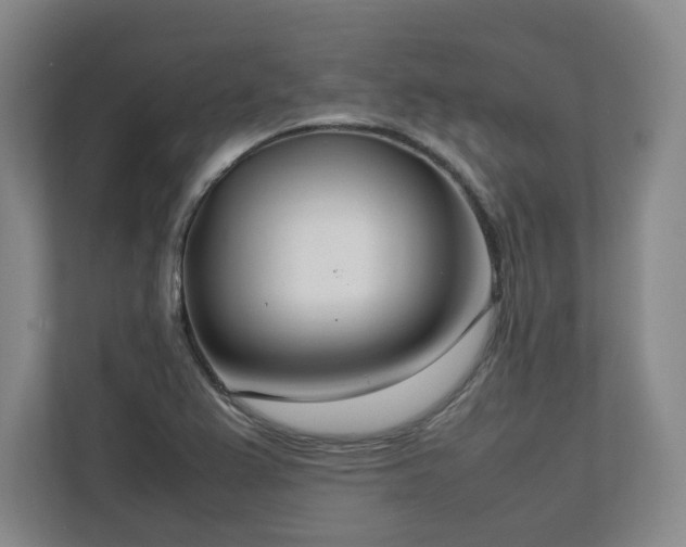 X0000112791367200908211105