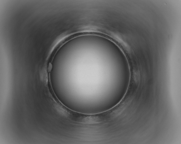 X0000112791368200908211105