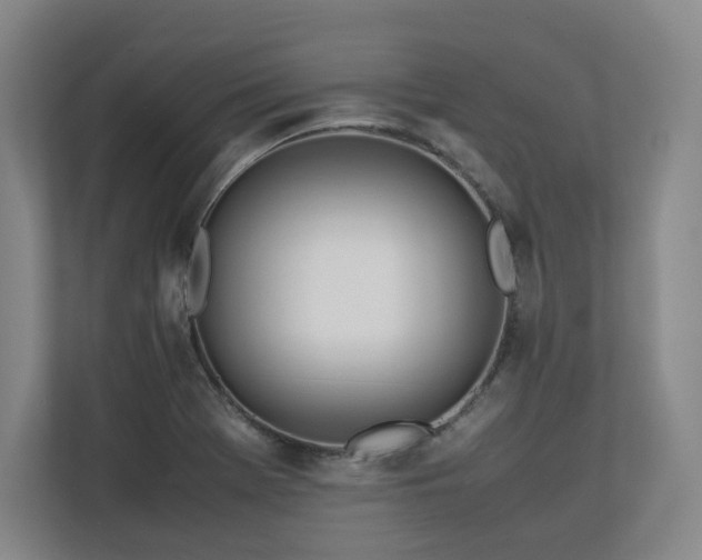 X0000112791369200908211105