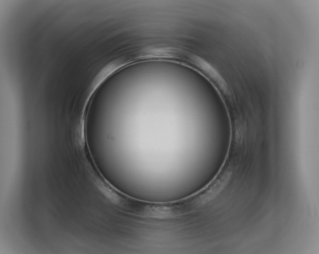 X0000112791370200908211105
