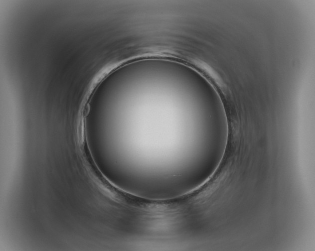 X0000112791371200908211105