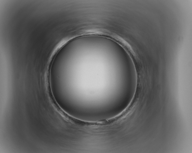 X0000112791373200908211105