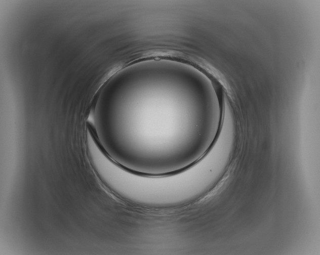 X0000112791377200908211105