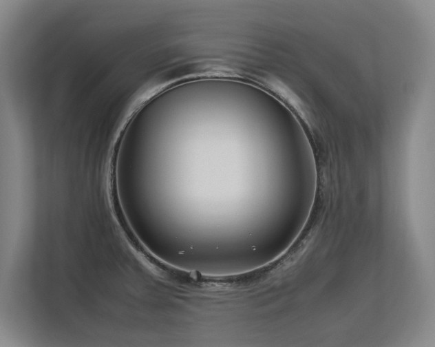 X0000112791379200908211104