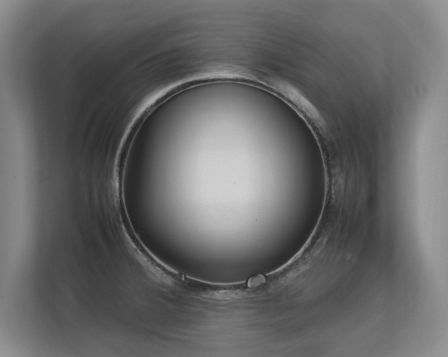 X0000112791380200908211104