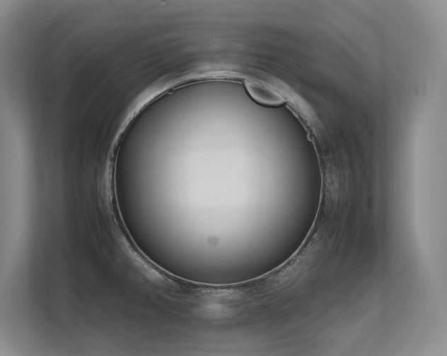 X0000112791382200908211104