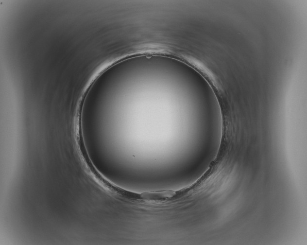 X0000112791383200908211104