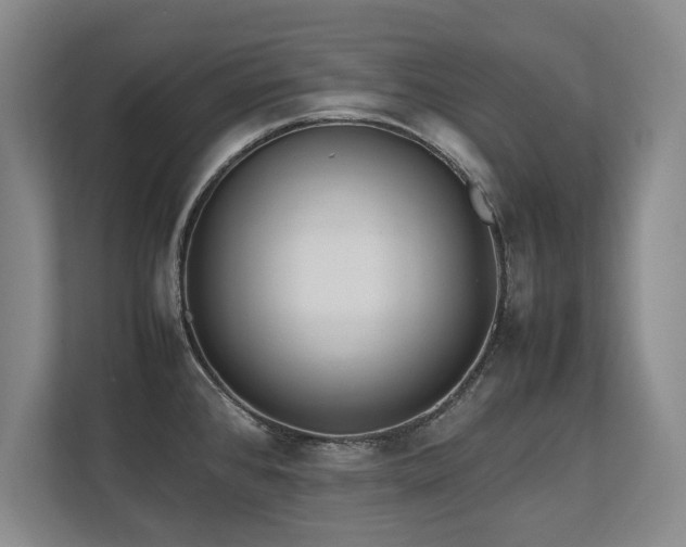 X0000112791384200908211104