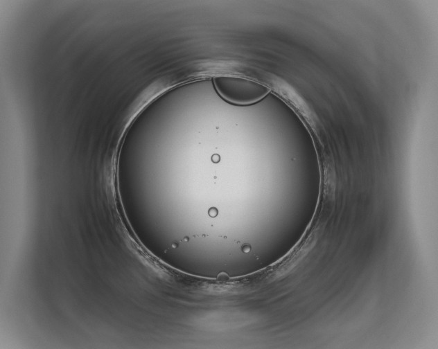 X0000112791386200908211104