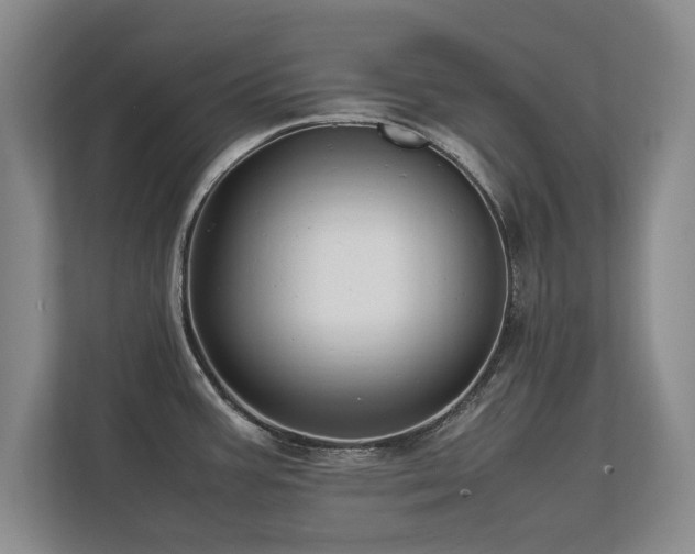 X0000112791387200908211104