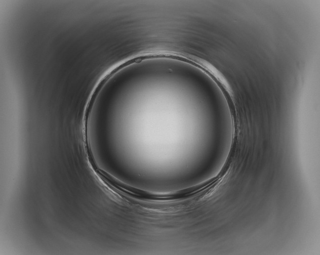 X0000112791388200908211104