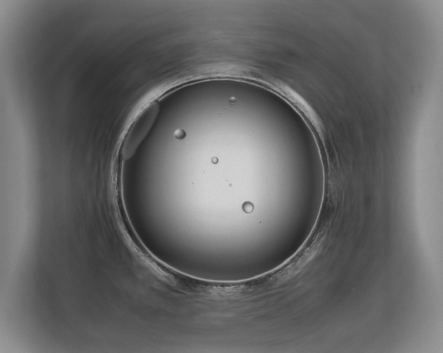 X0000112791389200908211104
