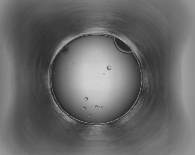 X0000112791390200908211104