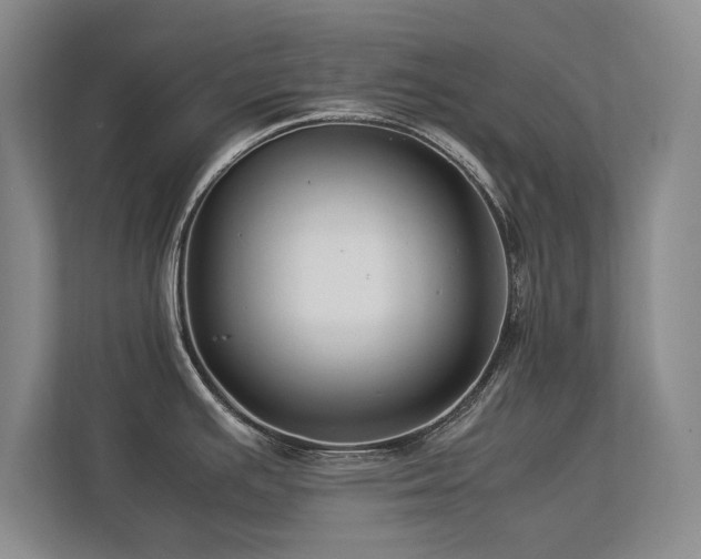 X0000112791391200908211104