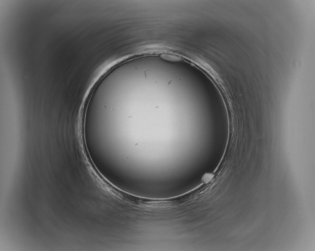 X0000112791392200908211104