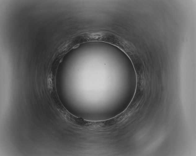X0000112791394200908211104
