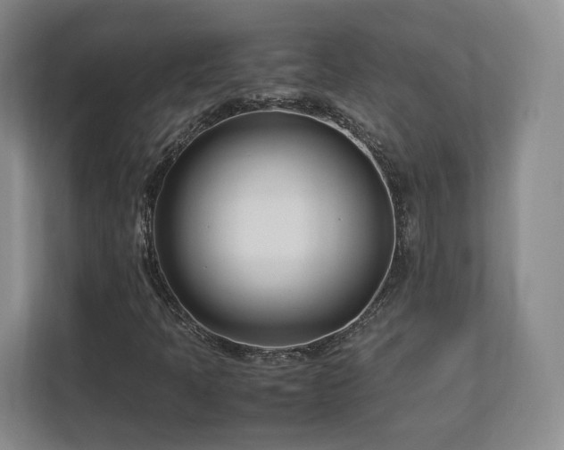 X0000112791397200908211104