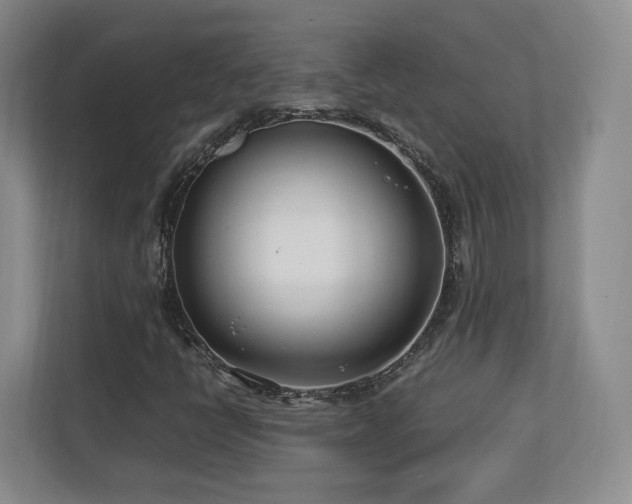 X0000112791398200908211104
