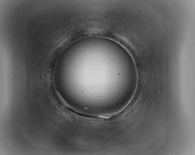 X0000112791399200908211104